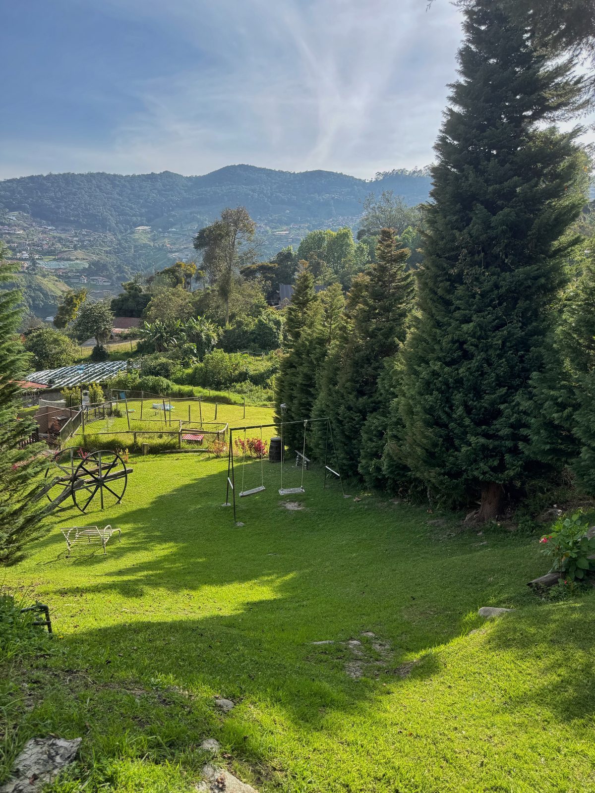 Jardines Tannenhaus