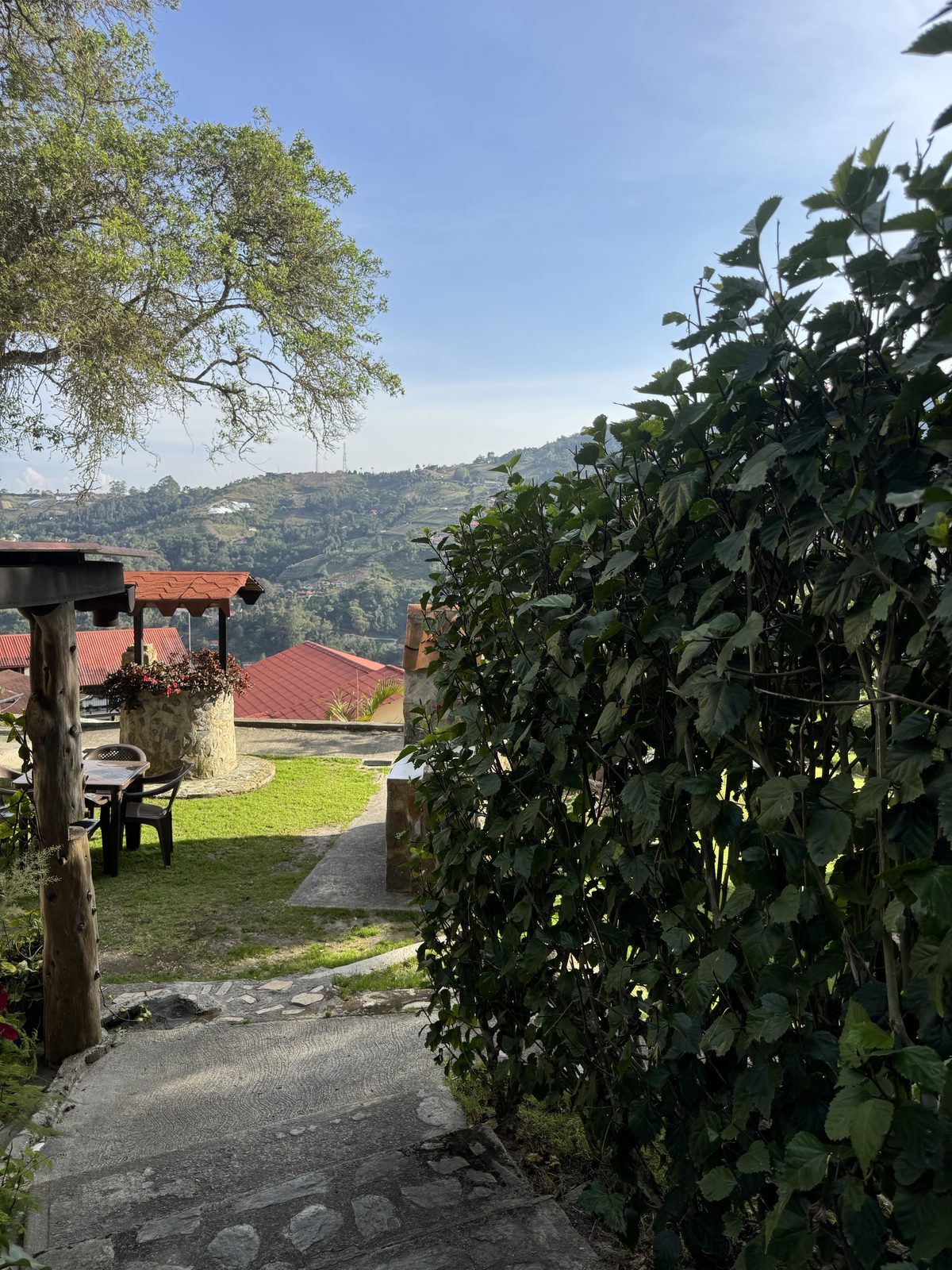 Vistas Tannenhaus